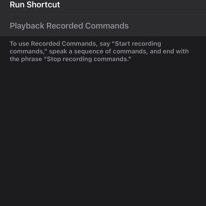 Apple iOS 14 Run Custom Gesture