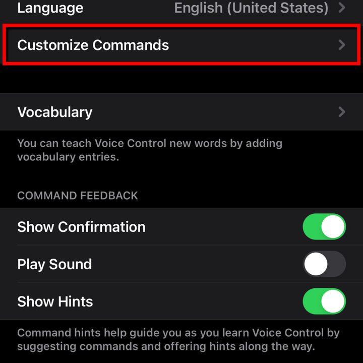 Apple iOS 14 Tap Customize Commands