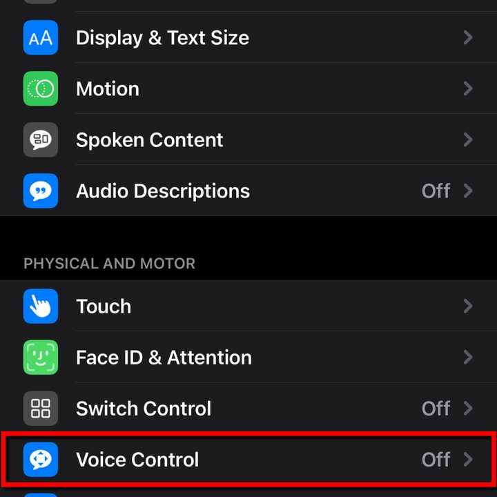 Apple iOS 14 Tap Voice Control
