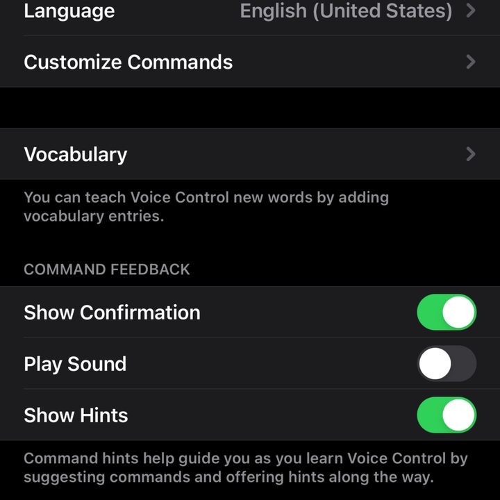 Apple iOS 14 Toggle On Voice Control