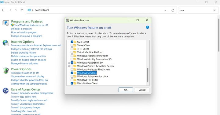 Turn Windows features on or off controls Sandbox mode