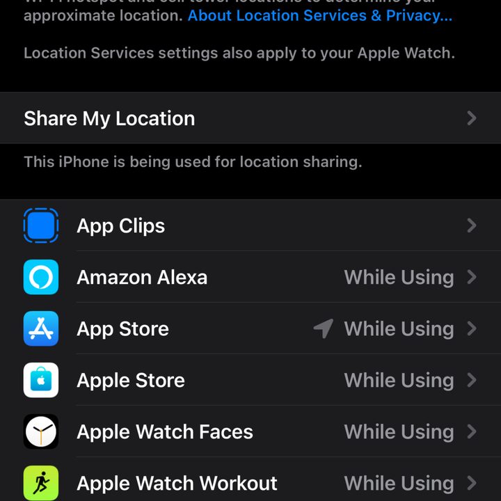 iOS 14 Location Services Toggle