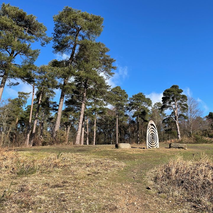 oneplus 9 pro hasselblad camera deep dive iphone 12 vs monument