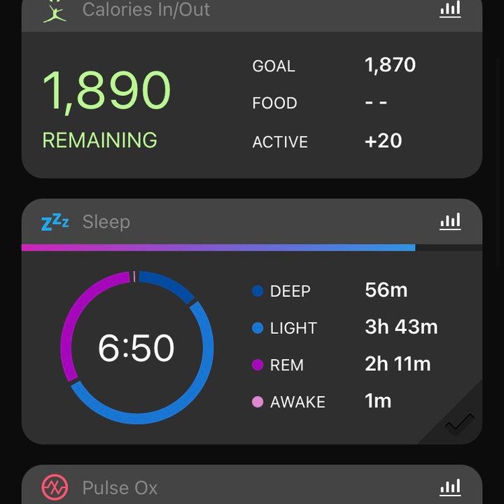 garmin lily review connect dashboard2