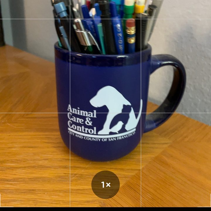 how to turn off live photos off1