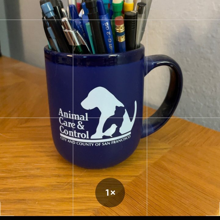 how to turn off live photos off11