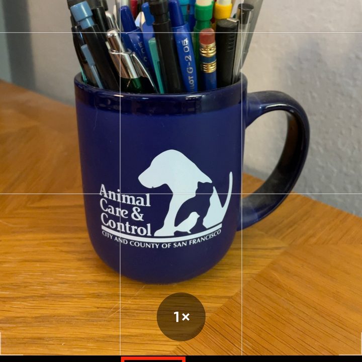 how to turn off live photos off2