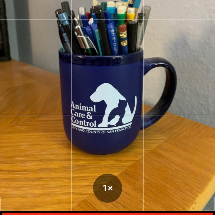 Live Photo Controls