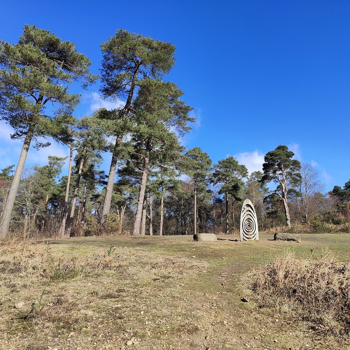 oneplus 9 pro hasselblad camera deep dive vs iphone 12 monument