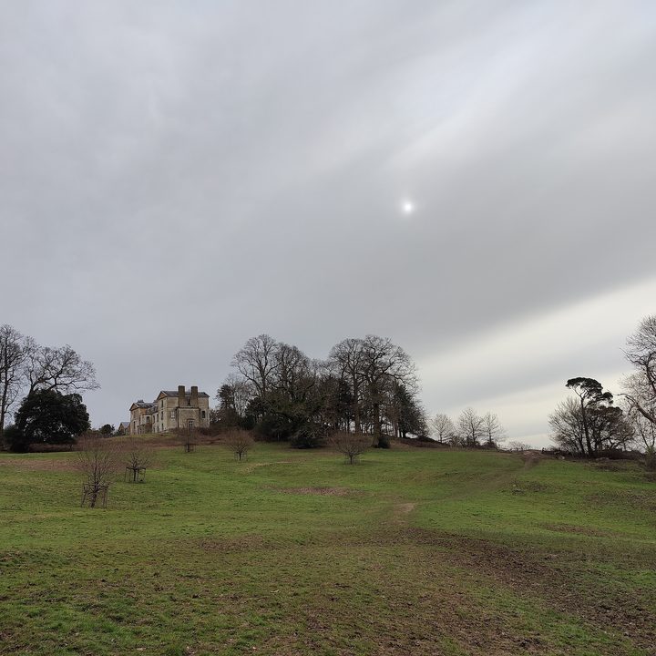 oneplus 9 pro hasselblad camera deep dive vs s21 ultra house main