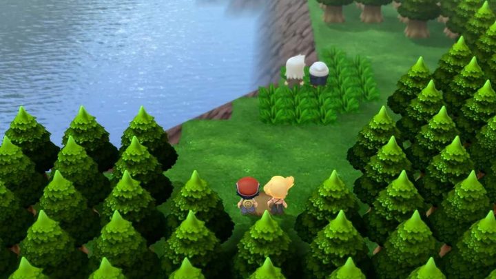 Pokemon Brilliant Diamond