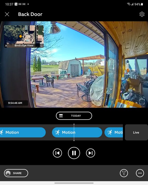 Screenshot of Ring App.