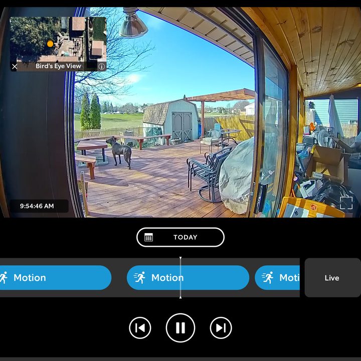 Screenshot of Ring App.