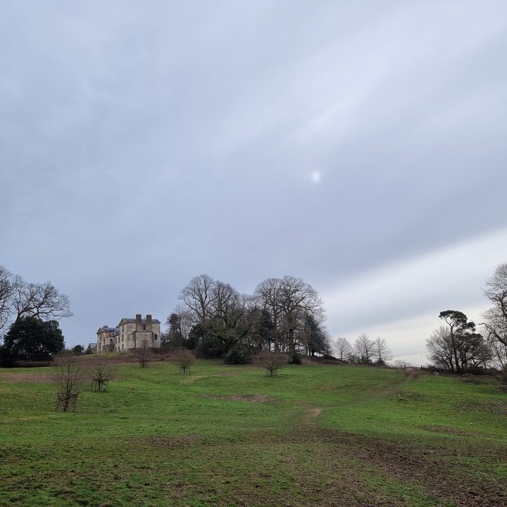 oneplus 9 pro hasselblad camera deep dive s21 ultra vs house main