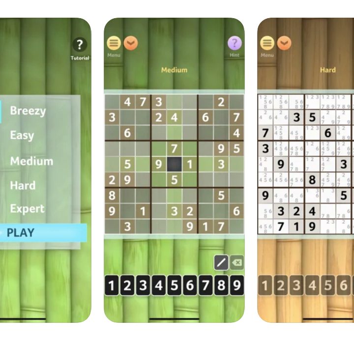 Sudoku by Brainium Studios with a bamboo background.