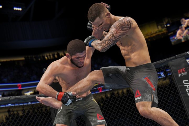 UFC 4 Mixed Martial Arts