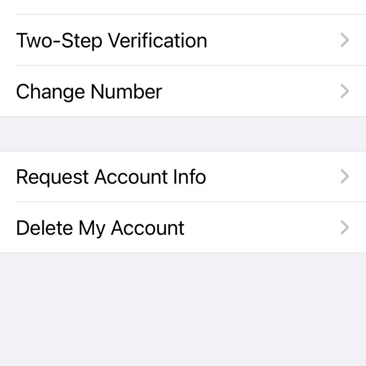 Settings menu privacy option in WhatsApp on iOS.