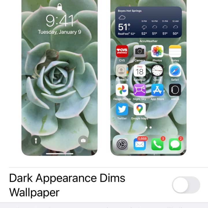 Wallpaper
