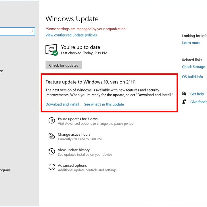 Windows Update 21H1