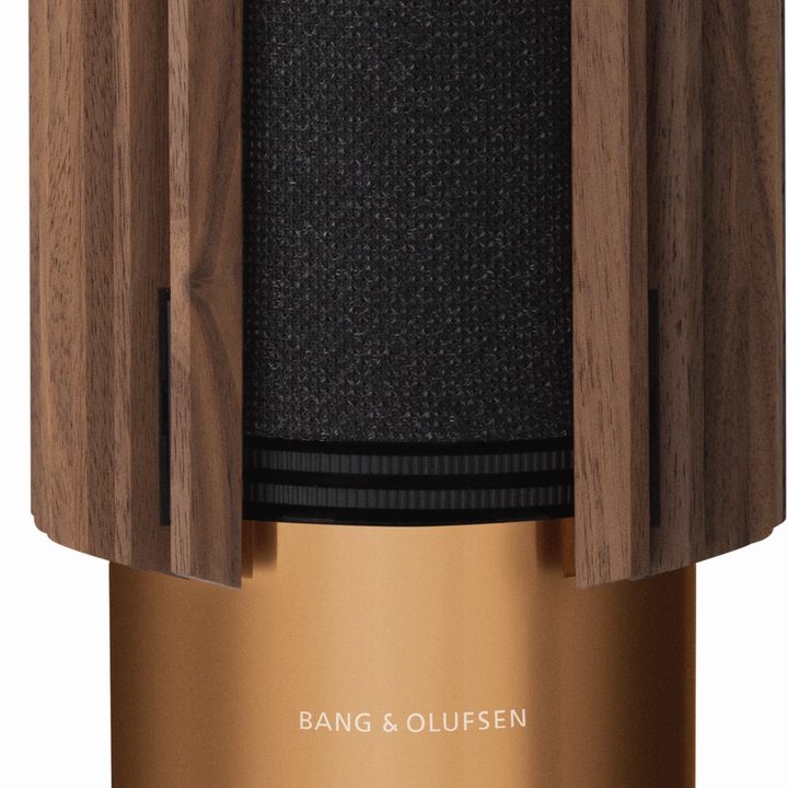 Bang & Olufsen Beolab 28 wireless speakers