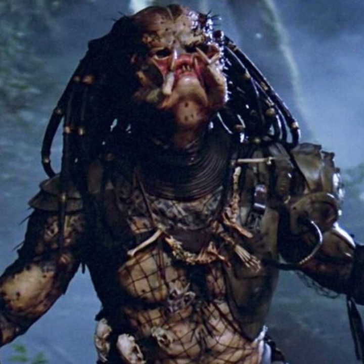 Meet the Predator.