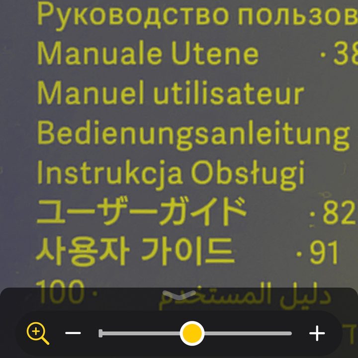 Magnifier controls