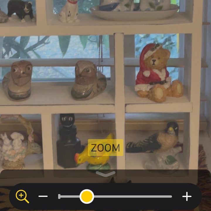 how to use ios 14 magnifier en2