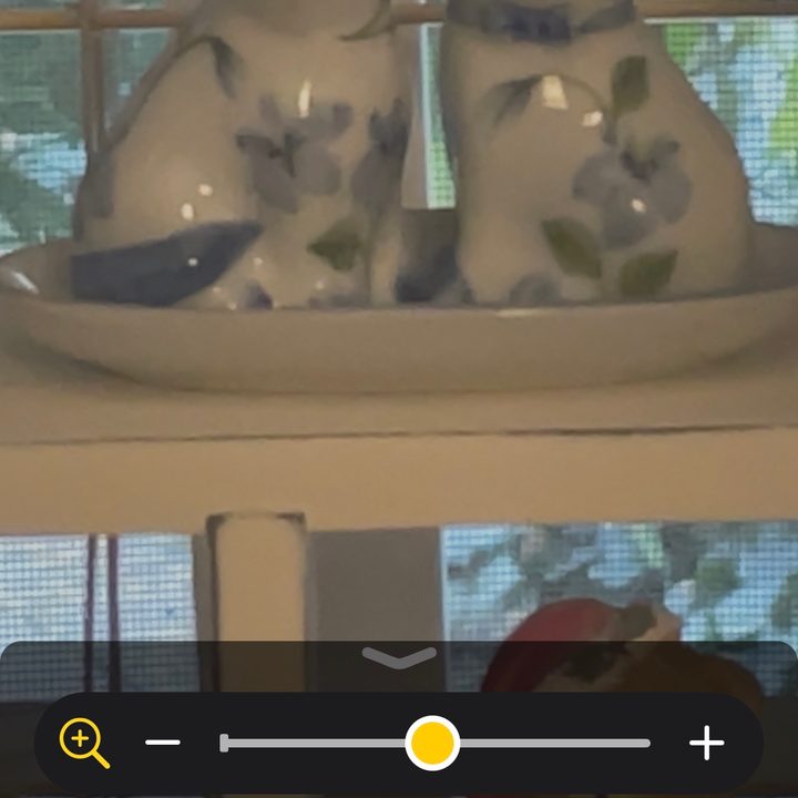 how to use ios 14 magnifier en3
