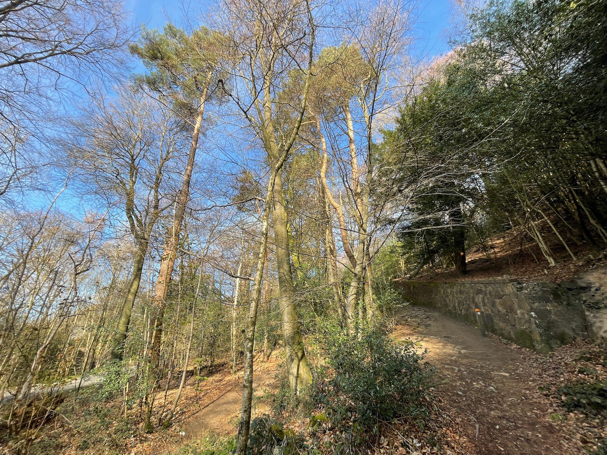 oneplus 9 pro vs apple iphone 12 wide path