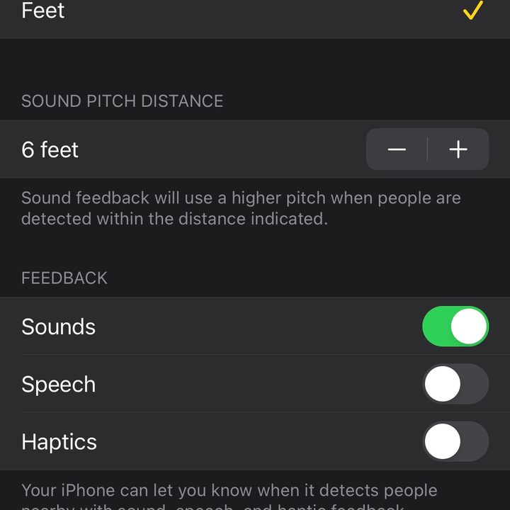how to use ios 14 magnifier peo2