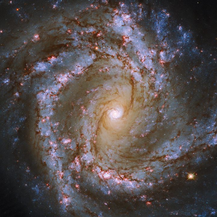 The luminous heart of the galaxy M61 dominates this image, framed by its winding spiral arms threaded with dark tendrils of dust. As well as the usual bright bands of stars, the spiral arms of M61 are studded with ruby-red patches of light. Tell-tale signs of recent star formation, these glowing regions lead to M61’s classification as a starburst galaxy.