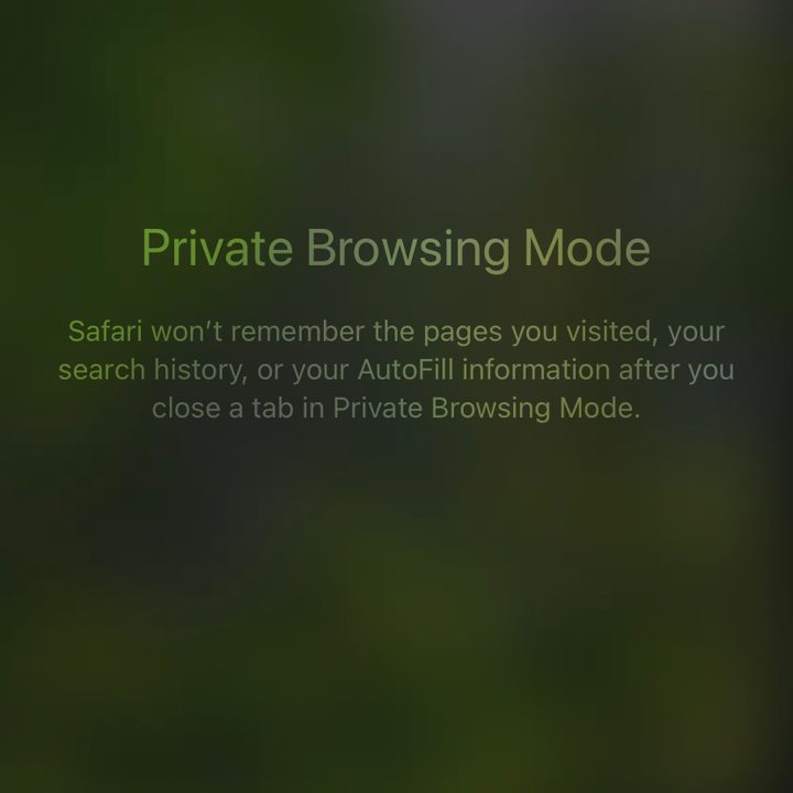 Safari private browsing mode