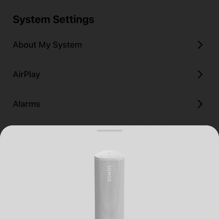 Sonos Roam Set-up