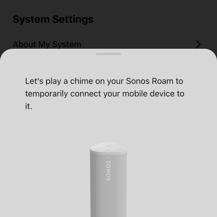 Sonos Roam Set-up