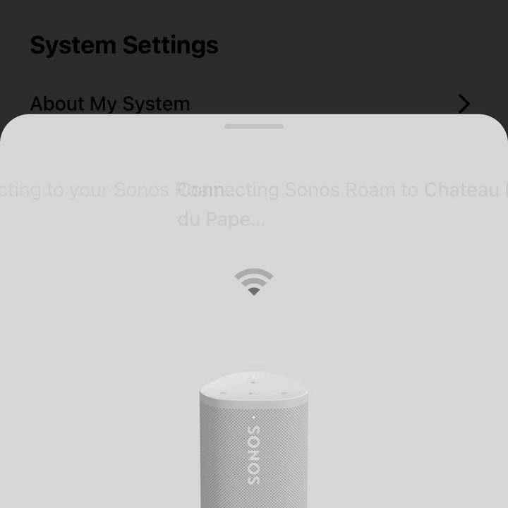 Sonos Roam Set-up