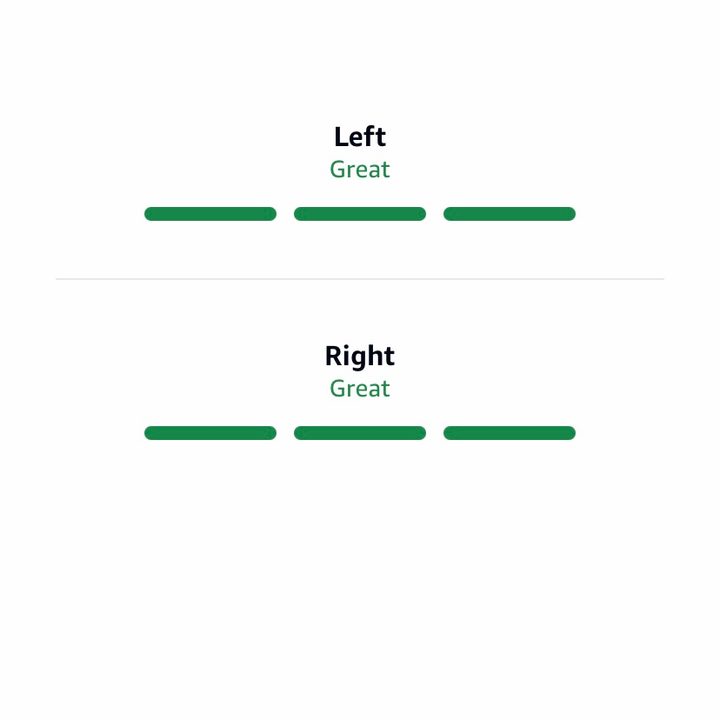 Amazon Echo Buds app
