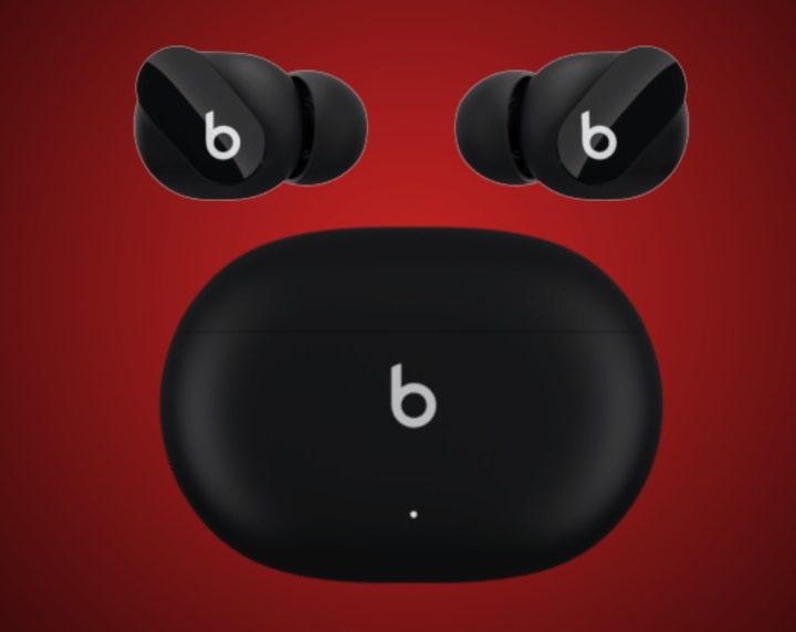 Beats true wireless earbuds leaked photo