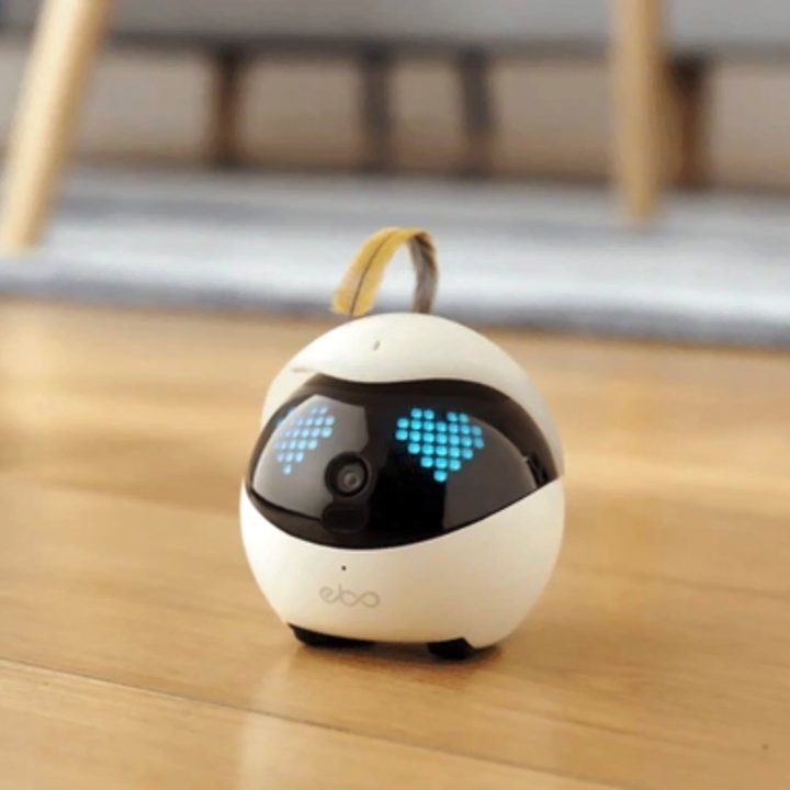 Enabot Ebo Familybot