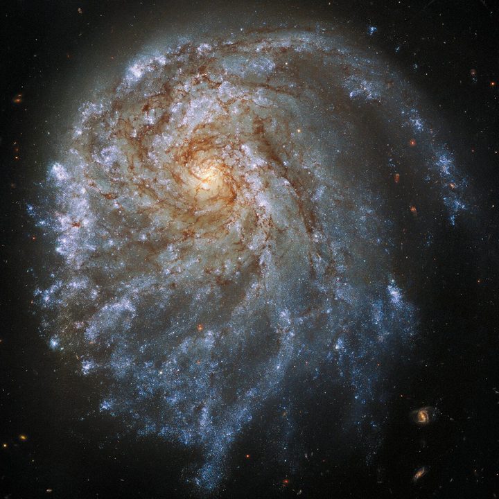 This spectacular image from the NASA/ESA Hubble Space Telescope shows the trailing arms of NGC 2276, a spiral galaxy 120 million light-years away in the constellation of Cepheus. At first glance, the delicate tracery of bright spiral arms and dark dust lanes resembles countless other spiral galaxies. A closer look reveals a strangely lopsided galaxy shaped by gravitational interaction and intense star formation.