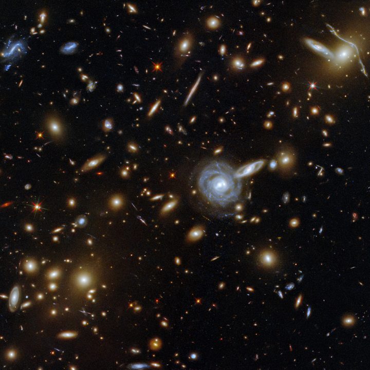This packed image taken with the NASA/ESA Hubble Space Telescope showcases the galaxy cluster ACO S 295, as well as a jostling crowd of background galaxies and foreground stars. Galaxies of all shapes and sizes populate this image, ranging from stately spirals to fuzzy ellipticals. This galactic menagerie boasts a range of orientations and sizes, with spiral galaxies such as the one at the center of this image appearing almost face on, and some edge-on spiral galaxies visible only as thin slivers of light.