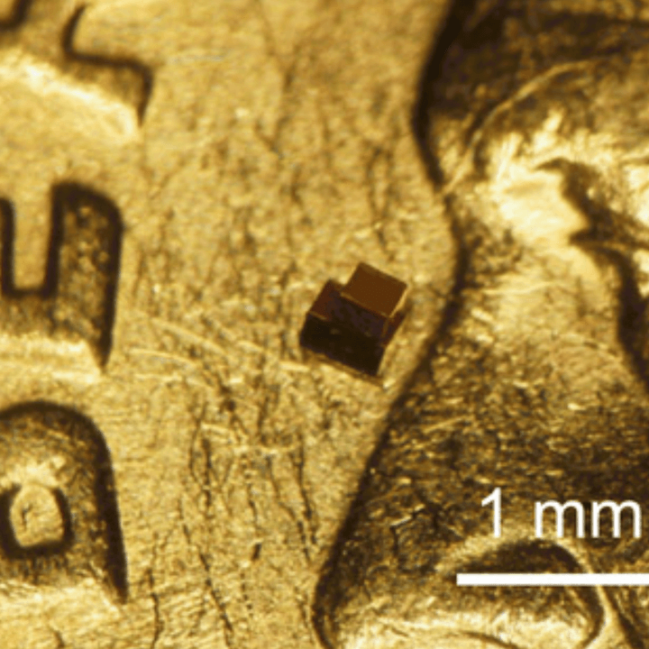 close up shot of milimeter-sized injectable chip