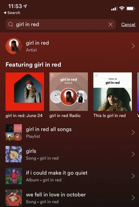 Spotify Search feature 2020