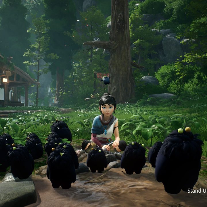 Kena sitting in the forest.