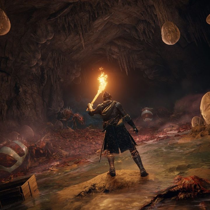 Elden Ring's hero shines a torch in a fleshy cave.