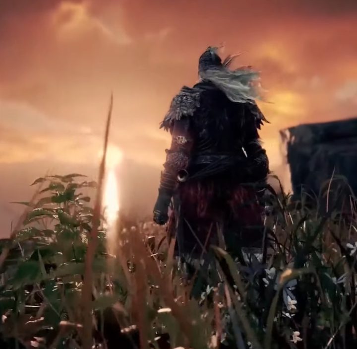 A screenshot showing the back of a character from a trailer for the game, Elden Ring.