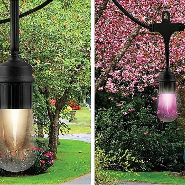 Enbrighten Color Changing LED outdoor lights.