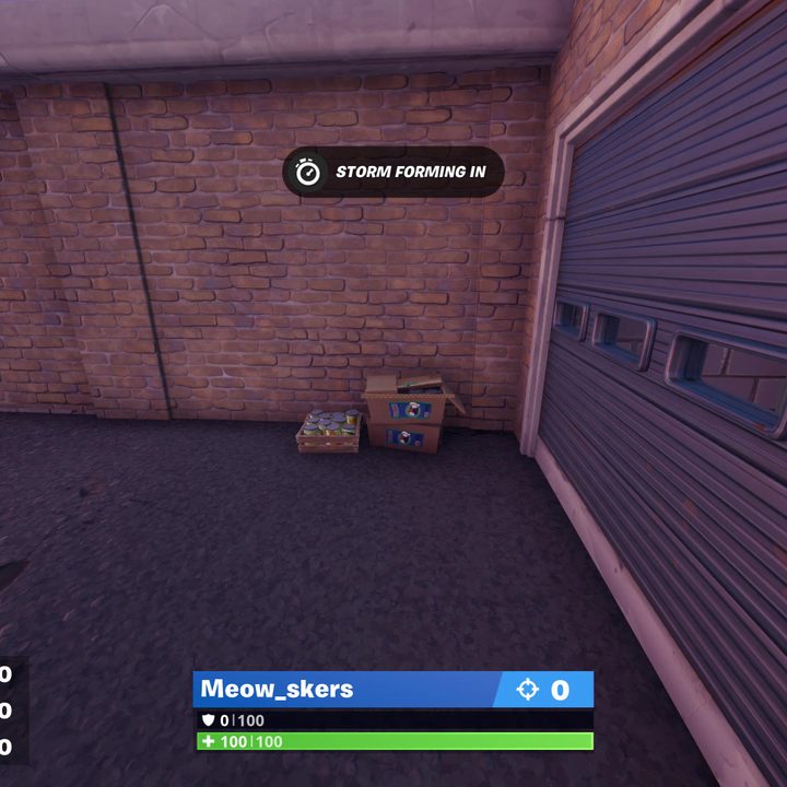 Fortnite cat food locations.