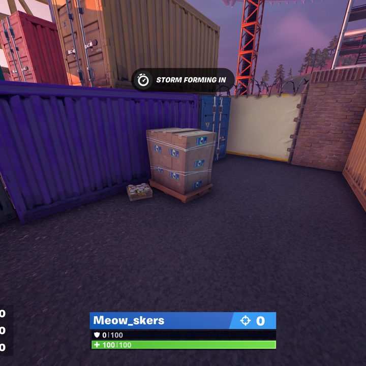 Fortnite cat food locations.