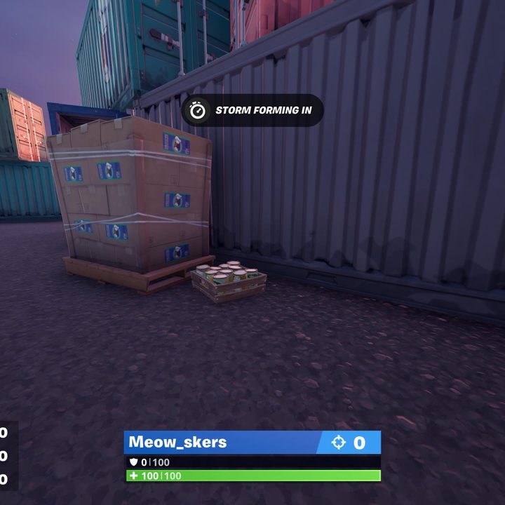 Fortnite cat food locations.