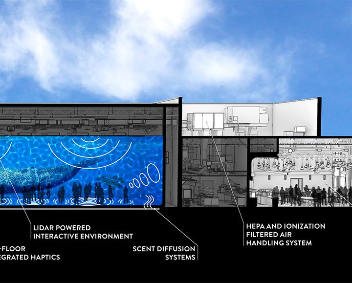 Cross-section of an Illuminarium location showing different exhibits.